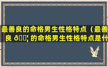 最善良的命格男生性格特点（最善良 🐦 的命格男生性格特点是什 🐶 么）